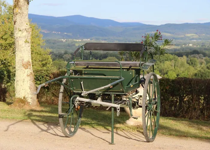 La Metairie Holiday home Mons (Auvergne)